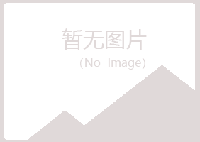 鹤岗兴山迷茫司机有限公司